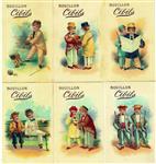 image cibils-126